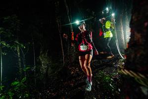 BIB: 
                            <button type="button" onclick="openModal(26229861)" class="btn btn-primary btn-sm float-right btn-popup" data-toggle="modal" data-target=".modal-high-quality">
                        <i class="fas fa-shopping-cart"></i> Add to Cart
                    </button>
                                            <button type="button" onclick="isThisMe(26229861, true)" class="btn btn-success btn-sm float-right btn-popup btn-isme hidden" data-toggle="tooltip" data-placement="bottom" title="นี่คือรูปของคุณใช่ไหม คลิกที่นี่เพื่อเอาเข้าอัลบั้ม">
                        <i class="fas fa-plus"></i> Add to album
                    </button>
                    <button type="button" onclick="isThisMe(26229861, false)" class="btn btn-warning btn-sm float-right btn-popup btn-isnotme hidden">
                        <i class="fas fa-ban"></i> Remove from album
                    </button>